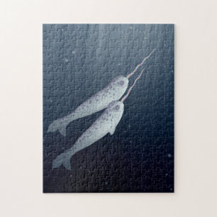 Cute Narwhals die onder water zwemmen Legpuzzel