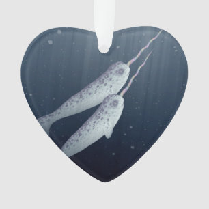 Cute Narwhals die onder water zwemmen Ornament