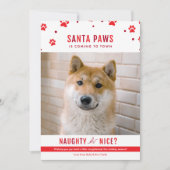Cute Naughty of Nice Dog Kerstfoto Feestdagenkaart (Voorkant)
