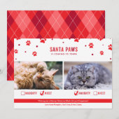 Cute Naughty of Nice Two Cat kerstfoto Feestdagenkaart (Voorkant / Achterkant)