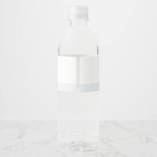 Cute Nautical Pirate Ship Lion Cub Kids Birthday Waterfles Etiket (Achterkant)