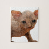 Cute newborn sphynx kitten legpuzzel (Verticaal)