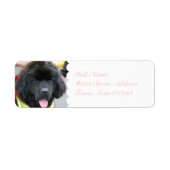 Cute Newfoundland Mailing Labels (Voorkant)