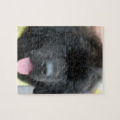 Cute Newfoundland Puzzle Legpuzzel (Horizontaal)