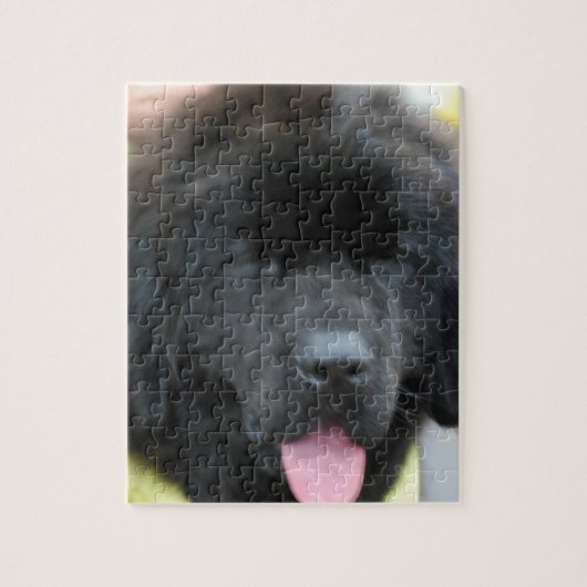 Cute Newfoundland Puzzle Legpuzzel (Verticaal)
