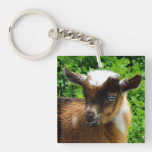 Cute Nigerian Dwarf Dairy Goat Kind Sleutelhanger