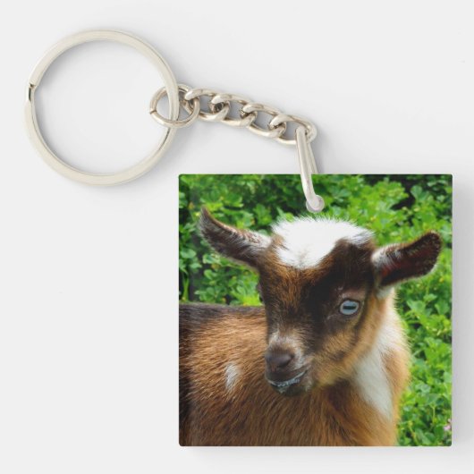 Cute Nigerian Dwarf Dairy Goat Kind Sleutelhanger (Voorkant)