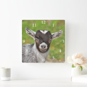 Cute Nigerian Dwarf Dairy Goat Kind Vierkante Klok (Huis)