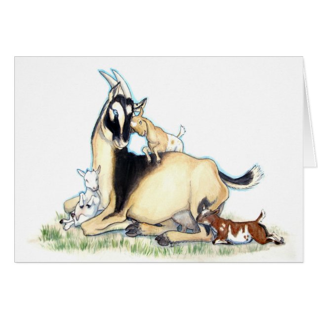 Cute Nigerian Dwarf Goat and Kinder (Voorkant Horizontaal)