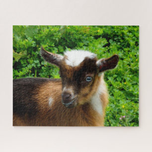 Cute Nigerian Dwarf Goat Kind met Blue Eyes Legpuzzel
