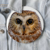 Cute Northern Saw Whet Owl Ronde Button 6,0 Cm (In situ)