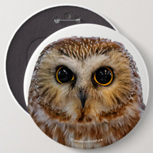 Cute Northern Saw Whet Owl Ronde Button 6,0 Cm
