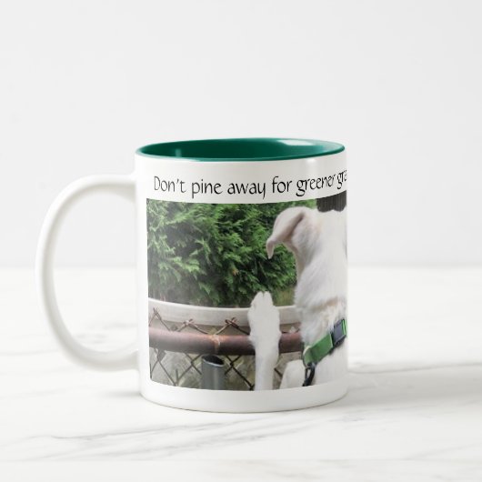 Cute Nosey White Dog die naar andermans gras kijkt Tweekleurige Koffiemok (Links)