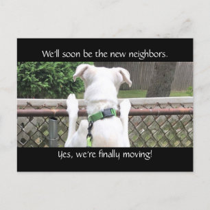 Cute Nosey White Dog probeert de buren te zien Briefkaart