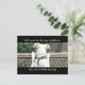 Cute Nosey White Dog probeert de buren te zien Briefkaart (Staand voorkant)