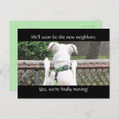Cute Nosey White Dog probeert de buren te zien Briefkaart (Voorkant / Achterkant)