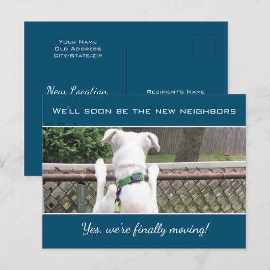 Cute Nosey White Puppy Dog Spying on Buren Aankondigingskaart (Voorkant / Achterkant)