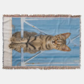 Cute Nosy Tabby Cat Kitten Sitting in a Blue Fence Deken (Voorkant)