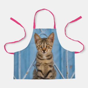 Cute Nosy Tabby Cat Kitten Sitting in a Blue Fence Schort