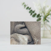 Cute Nursing Baby Elephant Borst door moeder Briefkaart (Staand voorkant)
