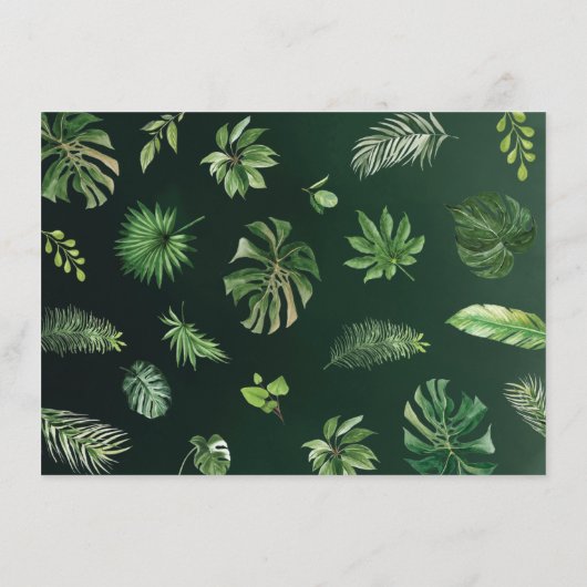 Cute Oerwoud Safari Animals Greenery Books for Bab Informatiekaartje (Achterkant)