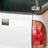 Cute Old English Sheepdog Bumpersticker (Op Truck)