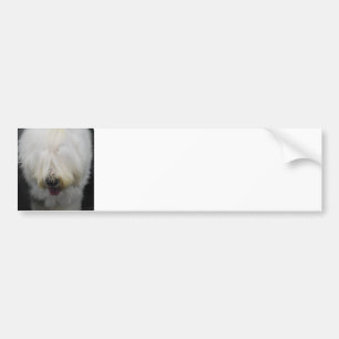 Cute Old English Sheepdog Bumpersticker