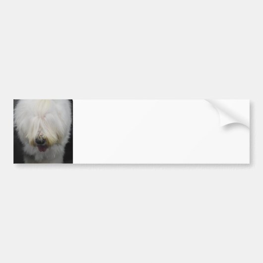 Cute Old English Sheepdog Bumpersticker (Voorkant)
