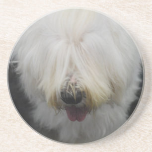 Cute Old English Sheepdog Onderzetter