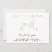 Cute Ooievaar Baby Shower Aankondiging (Voorkant)