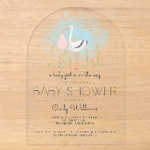 Cute Ooievaar Baby Shower