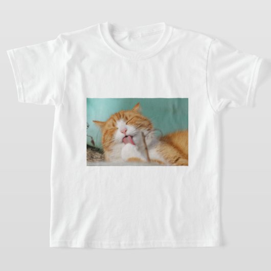 Cute Orange Cat Grooming T-shirt (Laagn)