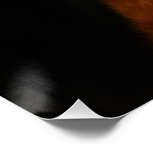 Cute Orange Tabby vs Human Foot Perfect Poster (Hoek)