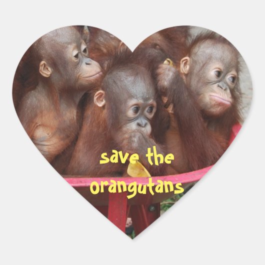 Cute Orangutan Babies Hart Sticker (Voorkant)