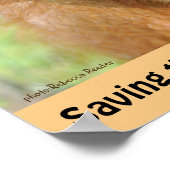 Cute Orangutan Endangered Species Poster (Hoek)