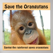 Cute Orangutan Endangered Species Poster (Voorkant)