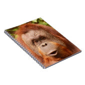 Cute orangutan notitieboek (Rechterzijde)