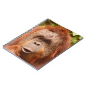 Cute orangutan notitieboek (Linkerzijde)