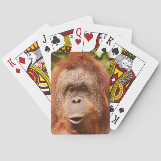 Cute orangutan pokerkaarten