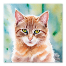 Cute Oranje Cat Behang