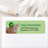 Cute Oranje Cat Wearing a Green Irish Pet Address Etiket (Insitu)
