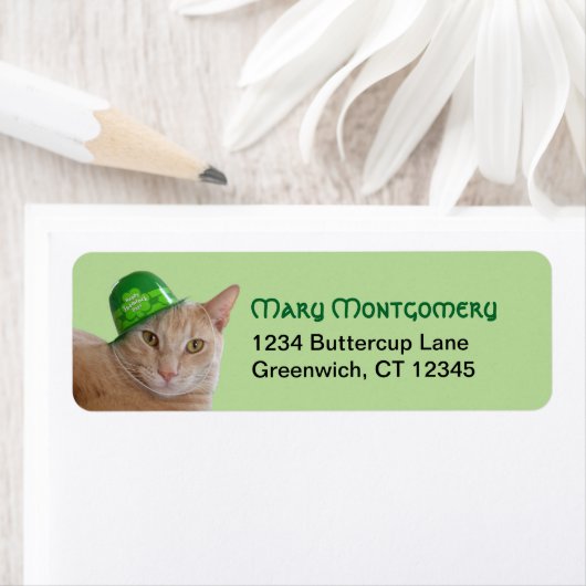 Cute Oranje Cat Wearing a Green Irish Pet Address Etiket (Insitu)