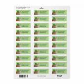 Cute Oranje Cat Wearing a Green Irish Pet Address Etiket (Full Sheet)