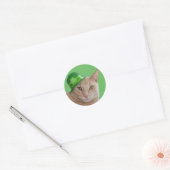 Cute Oranje Cat Wearing a Green Irish Pet Ronde Sticker (Envelop)