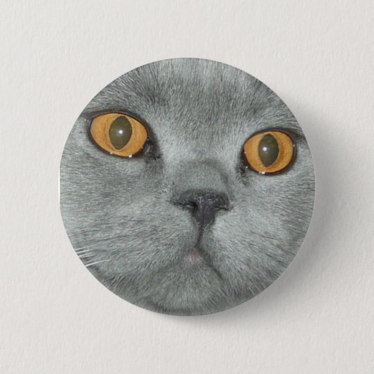 Cute Oranje Eyed Kat Button (Voorkant)