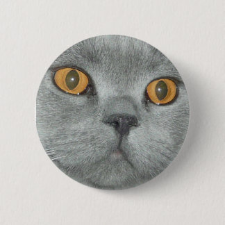 Cute Oranje Eyed Kat Button