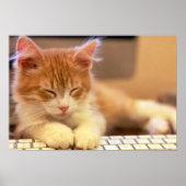 Cute Oranje Kitten Herfsten Aslapen Poster (Voorkant)