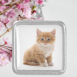 Cute Oranje Kitten Photo Zilver Vergulden Ketting<br><div class="desc">Show je liefde voor harige vrienden met dit schattige aangepaste ketting met een lieve oranje kittenfoto. Gelegen in een glanzend zilverkleurig lijst met een bijpassende keten, maakt dit charmante stuk een puur perfect cadeau voor kattenliefhebbers, huisdiermoeders of iedereen die dol is op schattige en knuffelige metgezellen. Of het nu als...</div>