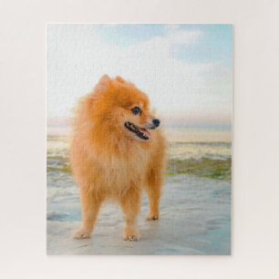 Cute Oranje Pommeranian op Beach Sunshine Summer Legpuzzel