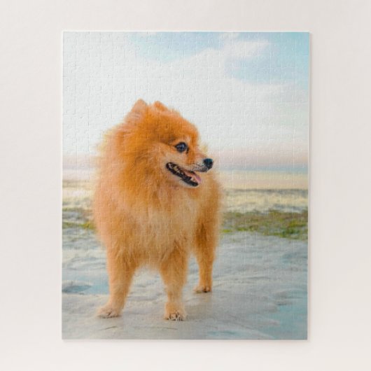 Cute Oranje Pommeranian op Beach Sunshine Summer Legpuzzel (Verticaal)